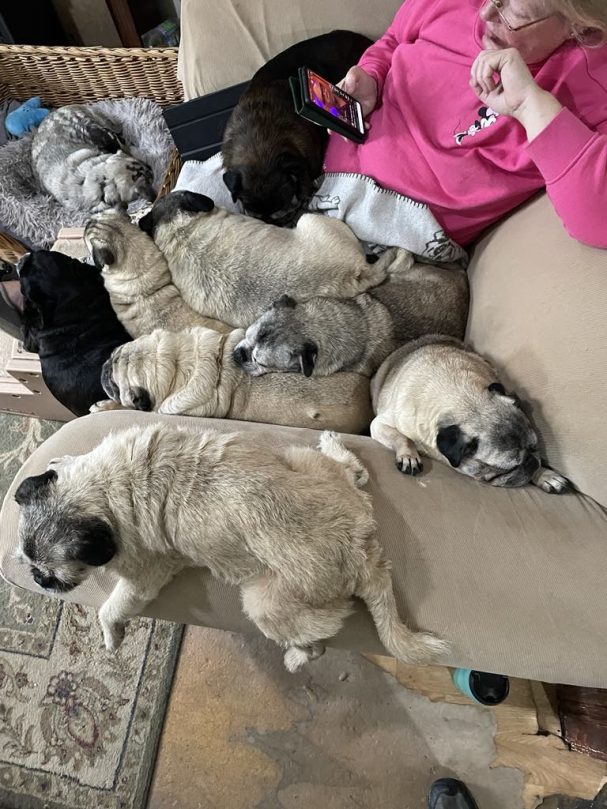 Pug pile